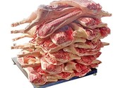 Свинина, говядина, мясо цб. Оптовые поставки