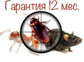 Уничтожение тараканов клопов блох муравьев и др насекомых