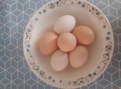 Домашние куринные яйца