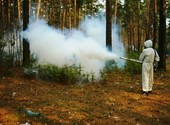 Обработка от клещей и комаров земельных участков Можайский городской округ