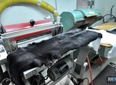 Завод по производству искусственного и шерстяного меха