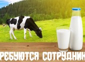 Упаковщики Молочное производство Вахта
