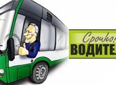 Требуется водитель на автобус Ст. Майна-Ульяновск