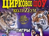 Цирк Колизеум шоу львов и тигров