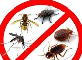 Дезинфекция Уничтожение тараканов, блох, клопов, моль