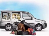 ЗОО Такси Ярик - перевозим домашних животных