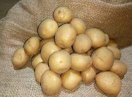 Продам картофель 25руб/кг