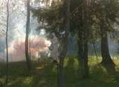 Уничтожение клещей и комаров обработка участков Павловский Посад