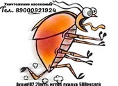 Уничтожение насекомых магнитогорск74