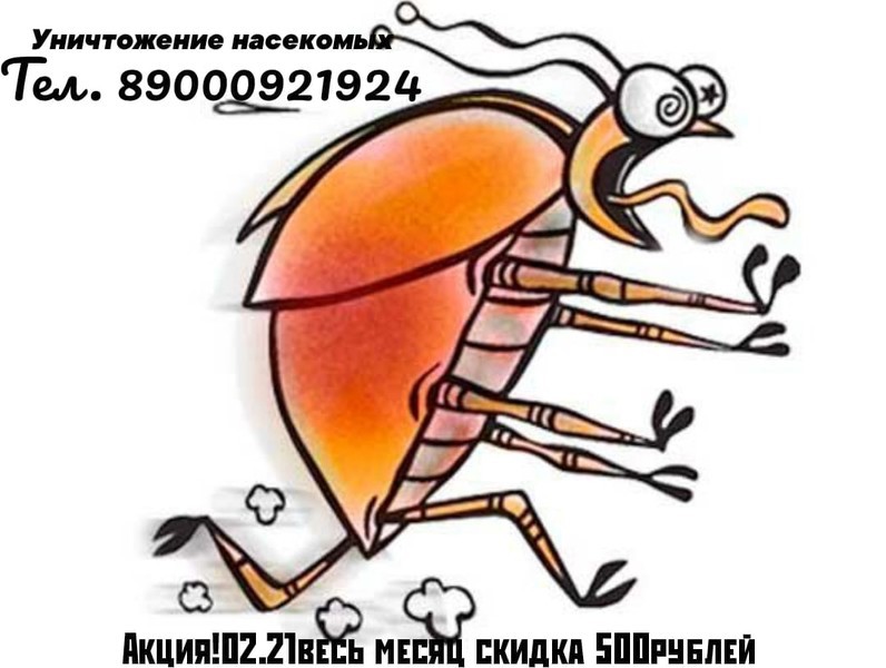 Уничтожение насекомых магнитогорск74