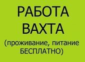 Вахта /Комплектовщик от 15/30 смен Москва