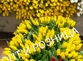 Тюльпаны ТЮЛЬПАНЫ оптом и в розницу к 8 марта Крым 2024