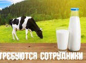 Упаковщики Молочная продукция Работа Вахта