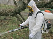 Противоклещевая обработка участка уничтожение комаров на даче Серпухов
