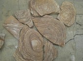 Камень Шкура тигра декоративный песчаник натуральный пластушка природная