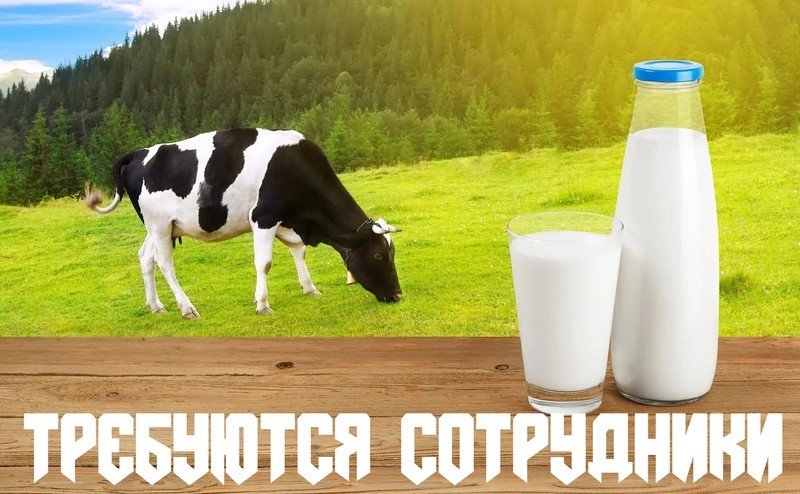 Упаковщики Молочное производство Вахта