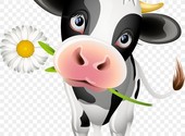 Молоко, Молочная продукция от Своей Коровы с Доставкой к Вашему дому