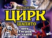 Шоу львов и тигров