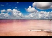 Поездки на розовое озеро