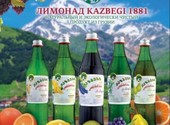Поданное объявление: Лимонады, напитки производства Грузия