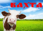 Упаковщики Молочная продукция Работа Вахта